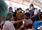 Sandi Salut Kerja Ombas, Cakupan Vaksinasi Torut Tertinggi di Sulsel