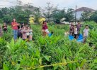 Heboh! Jasad Bayi di Makassar Ditemukan Sudah Terpotong-potong Dimangsa Anjing