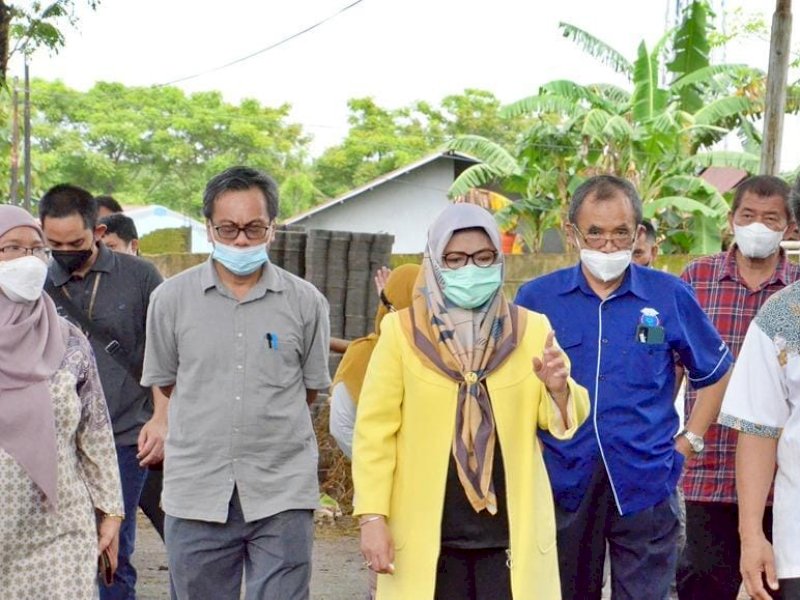 Fakultas Peternakan Universitas Hasanuddin menerima bantuan 20 ekor sapi perah dari Kementerian Pertanian