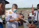Petani Pinrang Berburu Tikus, Begini Reaksi Bupati 
