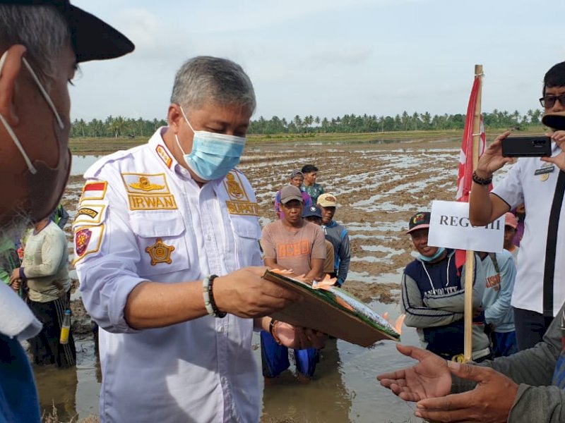 Bupati Pinrang Irwan Hamid berbincang-bincang dengan petani. (Foto: Ist)