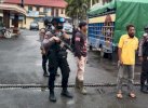 Polres Tator Sita 7 Ton Getah Pinus Ilegal, akan Diselundupkan ke Makassar