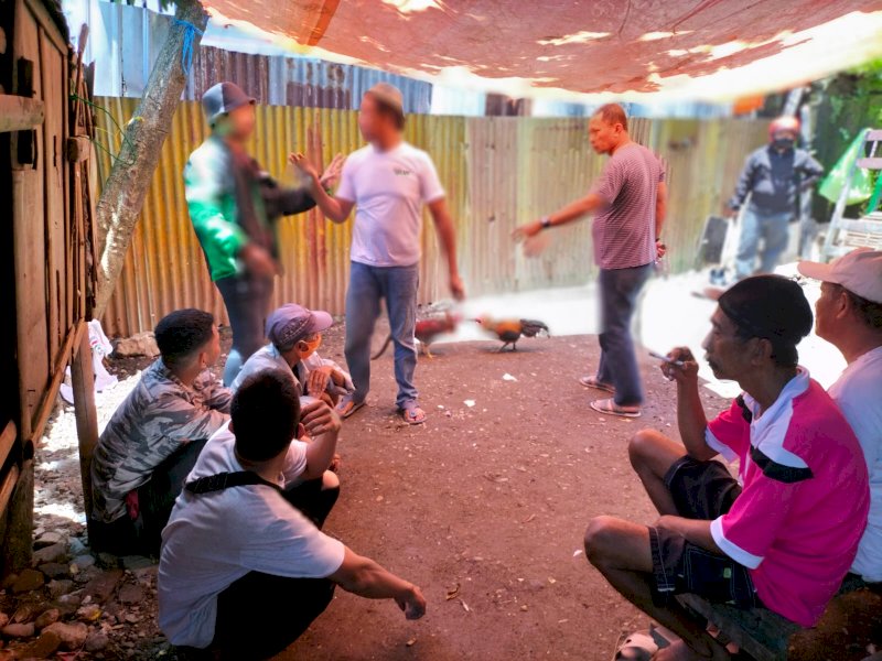Polisi menggerebek arena judi sabung ayam di Makassar.