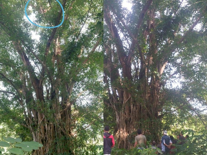 Lokasi tempat Hasbi dikepung oleh petugas dan warga sebelum diamankan. 