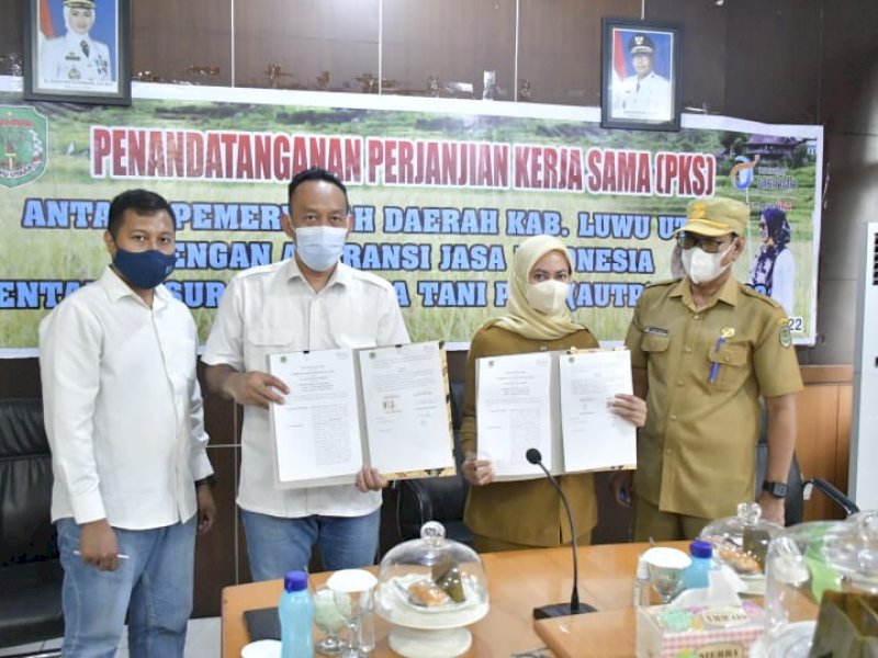 Pemerintah Kabupaten Luwu Utara kembali memberikan perlindungan Asuransi Usaha Tani Padi (AUTP) melalui kerja sama dengan PT Jasindo