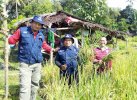 17 Tahun Vakum, Warga Salubomban Lutra Kembali Nikmati Panen Perdana