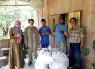 2 Poktan di Wilayah Transmigrasi Lutra Terima Bantuan Benih Jahe Merah
