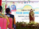 Cakupan Imunisasi Dasar Lengkap di Sulsel Tertinggi di Indonesia