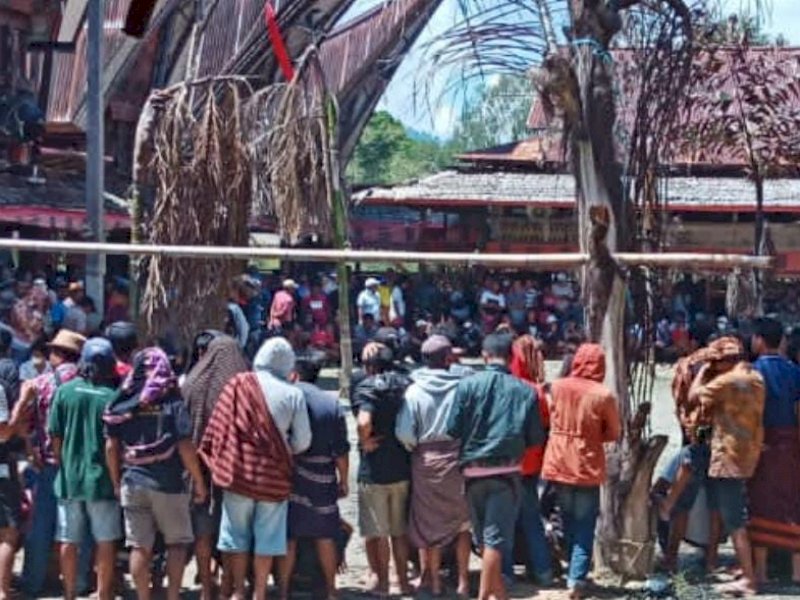 Arena judi sabung ayam di Torut beberapa hari lalu. 
