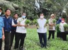Kunjungi Lutra, Kemal Redindo Panen Perdana di Pekarangan Milik KWT