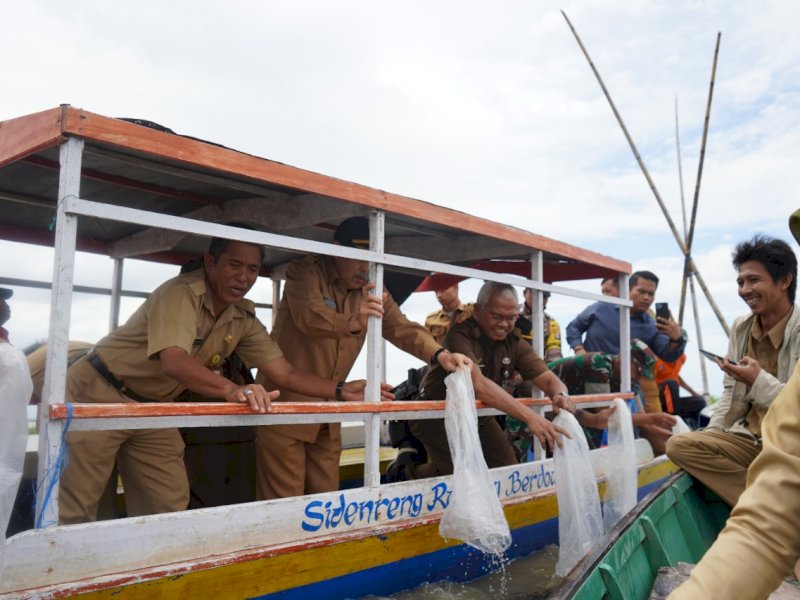Bupati Sidenreng Rappang, H. Dollah Mando memimpin restocking di Danau Sidenreng, Desa Teteaji, Kecamatan Tellu Limpoe, dan Kelurahan Wettee, Kecamatan Panca Lautang, Selasa (14/06/2022). 