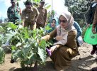 Berdayakan KWT, Lutra Kembangkan Pengelolaan Bahan Pangan Lokal