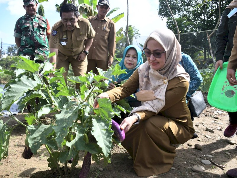 Bupati Lutra Indah Putri Indriani membuka pelatihan praktik pengelolaan berbahan baku pangan lokal bagi KWT di kantor Desa Saptamarga, Kecamatan Sukamaju, Luwu Utara, Selasa (14/6/2022).