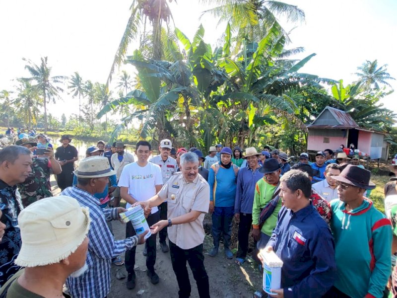Bupati Pinrang Irwan Hamid mengajak  kelompok tani di Kecamatan Mattiro Bulu melakukan pengendalian hama tikus, Kamis (16/06/2022).
