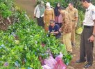5 Kelompok Tani di Tellulimpoe Bone Dapat Bantuan Bibit Kopi