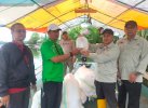 Pemprov Sulsel Salurkan Benih Udang Windu untuk Pembudidaya di Lakkang