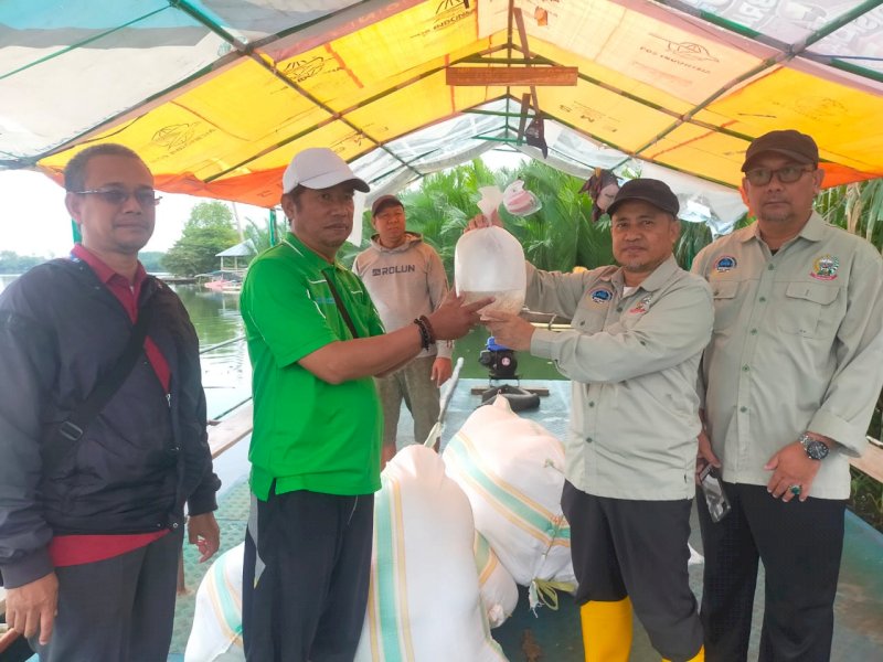 250 ribu benur udang windu dari Pemerintah Provinsi Sulawesi Selatan disalurkan untuk kelompok pembudidaya di Pulau Lakkang, Kota Makassar, Kamis 14 Juli 2022.