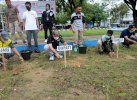 Bupati Wajo dan Kajari Tanam Pohon di RTH Callaccu-Padduppa