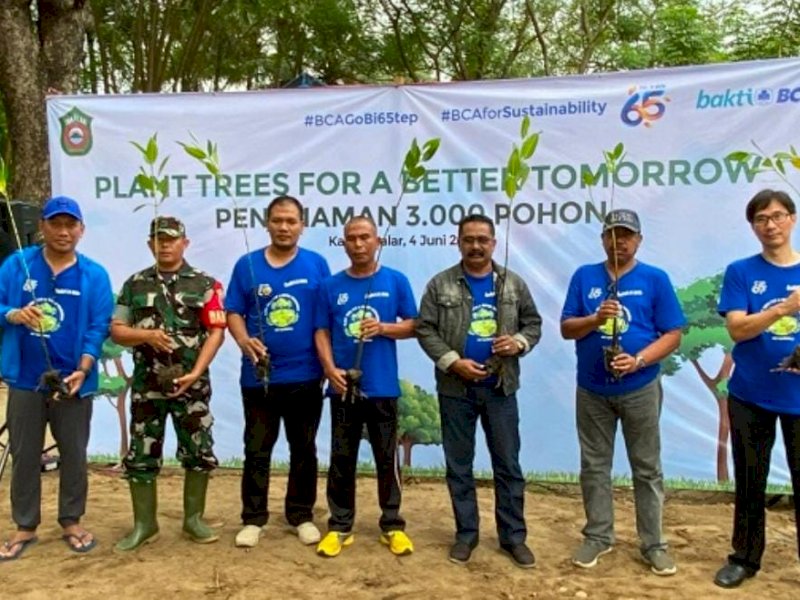 BCA dan Pemkab Takalar Tanam 3.000 Bibit Pohon Mangrove