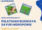 Disdik Sulsel Gandeng Komunitas Beri Edukasi Tanaman Hidroponik di Pinrang