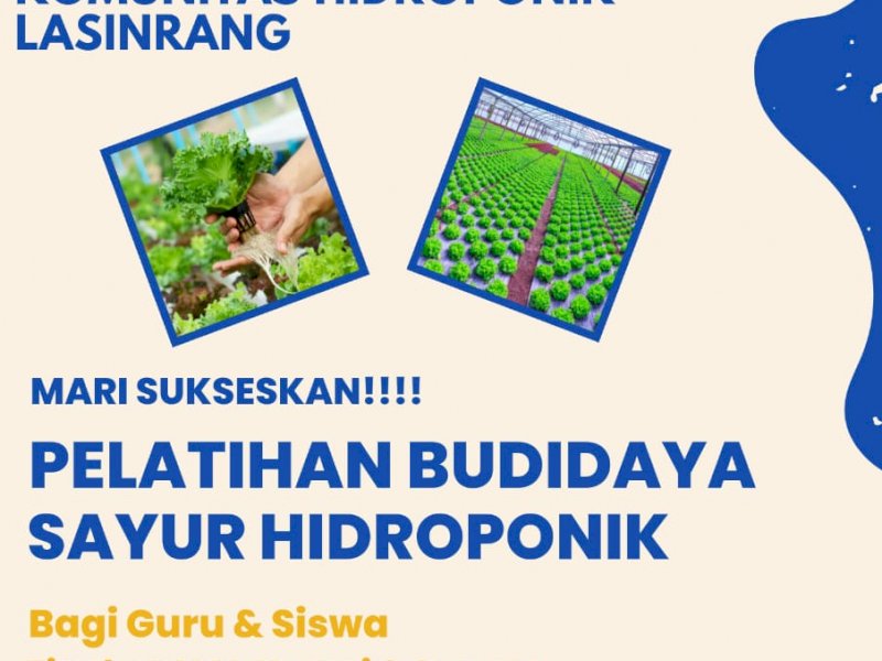 Disdik Sulsel Gandeng Komunitas Beri Edukasi Tanaman Hidroponik di Pinrang