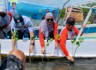 Melihat Transplantasi Terumbu Karang di Takalar: Tanam Mangrove hingga Rehab Pulau 