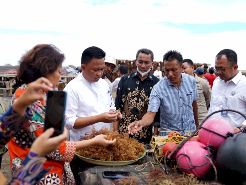 Kepala BPBAP Takalar, Nur Mufhlich Junianto saat memberikan bantuan 30.000 kilogram bibit rumput laut berkualitas di Kelurahan Lamalaka.