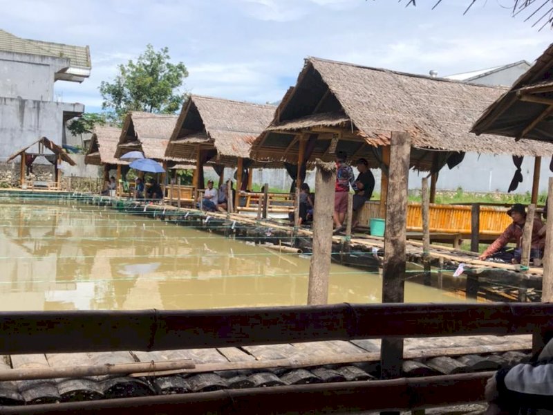 Lomba mancing di tempat wisata kuliner Parimata Manggayo, di Lembang Rinding Batu, Kecamatan Kesu.