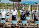 Sudirman Bilang Sudah Tanam 1,7 Juta Mangrove, Luhut Mau 4 Juta