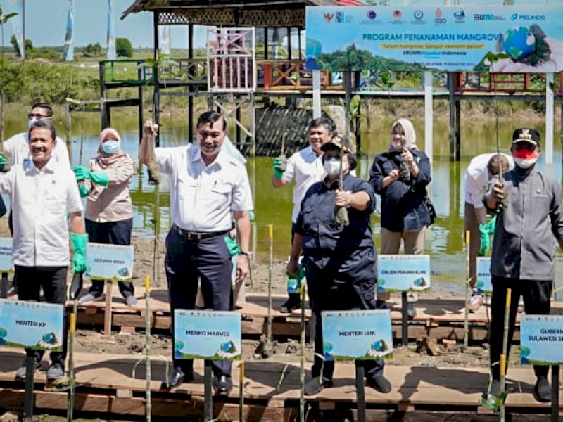 Menko Marves Luhut Binsar Pandjaitan memimpin penanaman mangrove di Kabupaten Maros. 