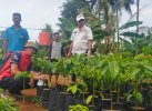 Digagas Pendidikan Back To Nature di Bulukumba, 1 Siswa 1 Tanaman