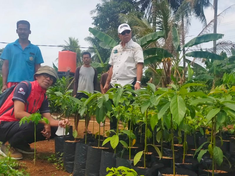 Pemkab menggagas gerakan menanam bagi seluruh siswa di Bulukumba.