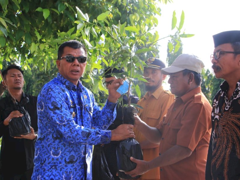 Bupati Bulukumba Andi Muchtar Ali Yusuf membagikan ribuan bibit unggul.