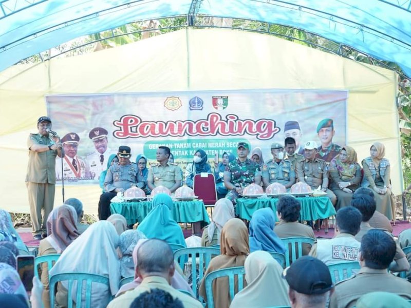 Launching Gerakan Tanam Cabai Merah serentak di Kelurahan Pappolo, Kecamatan Tanete Riattang, Kabupaten Bone, Senin (26/9/2022).