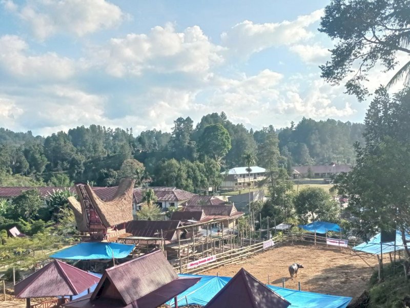 Lokasi pelaksanaan pesta adat tedong silaga di Tator. 