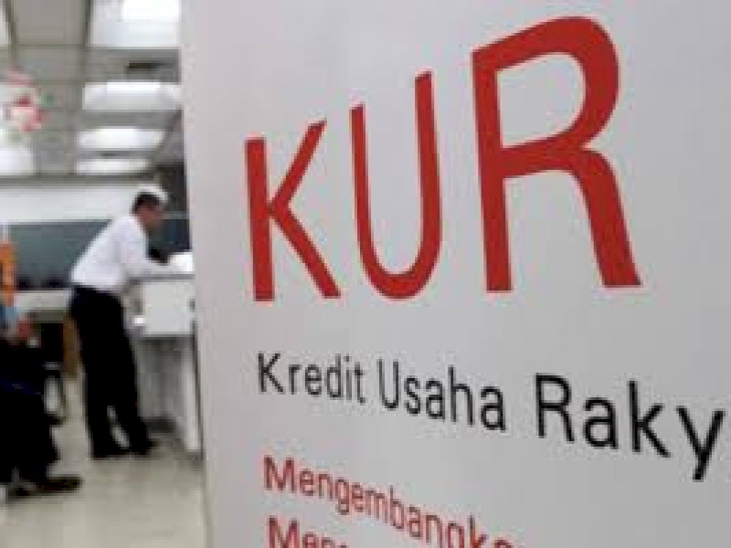 Warga Bone Keluhkan Penyaluran KUR BRI Diterapkan per Wilayah