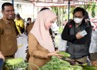 Bazar Pangan Murah di Lutra: Tekan Inflasi, Pastikan Stok Terjaga