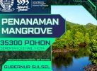 Gerakan Tanam 35.300 Pohon Mangrove Digelar Besok di 9 Pesisir Sulsel
