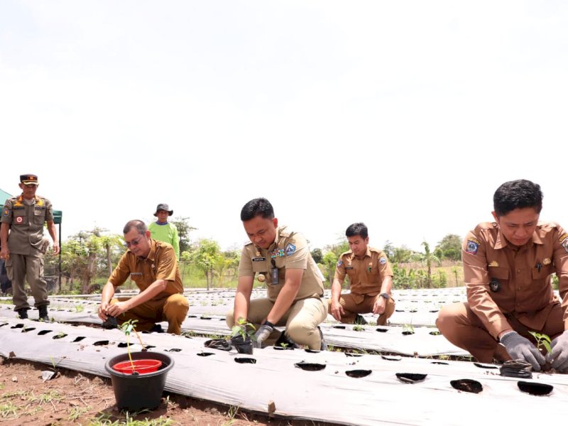 Pemerintah Kabupaten Bantaeng melakukan aksi tanam serentak di 14 titik.