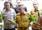 Kendalikan Harga, Pemda Bone Gelar Pasar Murah di 5 Titik