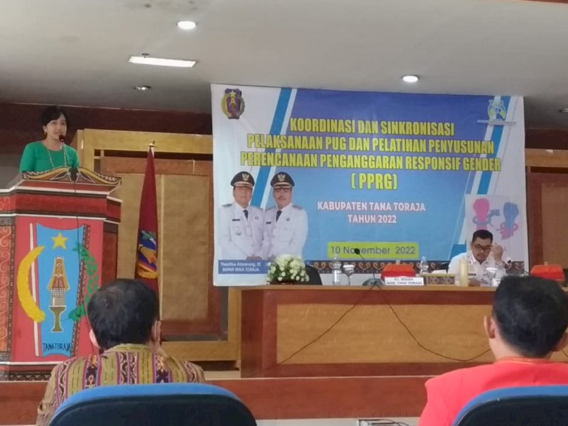 Sosialisasi pengarusutamaan gender di Pemkab Tator.