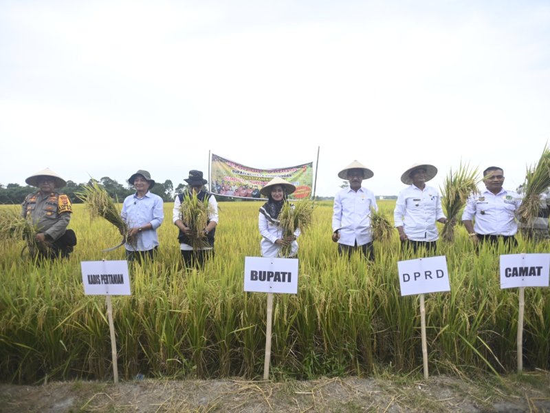 Hasil Panen Meningkat, IDP Apresiasi Petani Pakai Ge-lite Korea 
