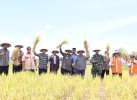 Bupati Wajo Ingin Sektor Pertanian Jadi Penyangga Hadapi Inflasi