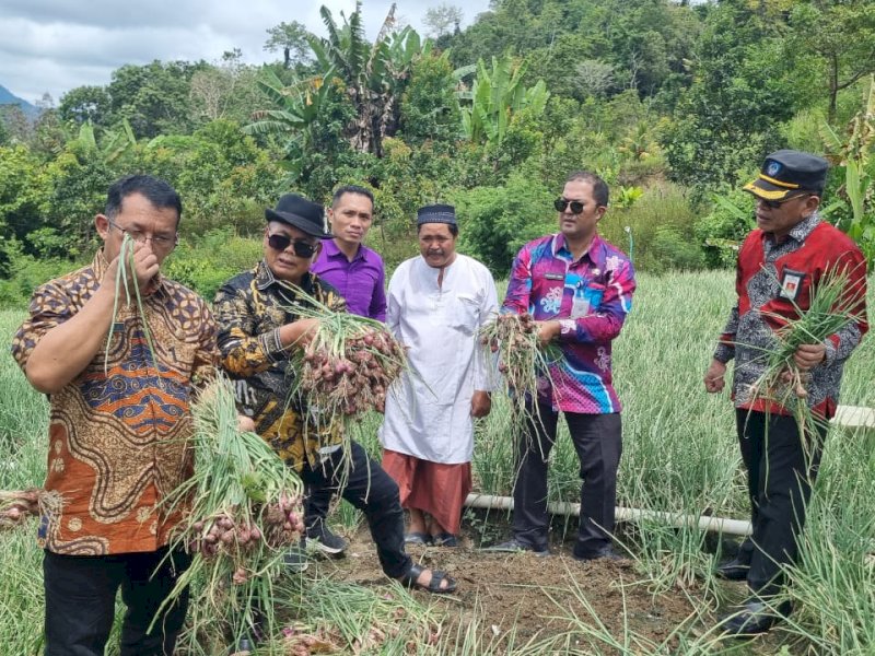 Bupati Enrekang Muslimin Bando mengajak rombongan Pemkot Balikpapan melihat produksi bawang merah.