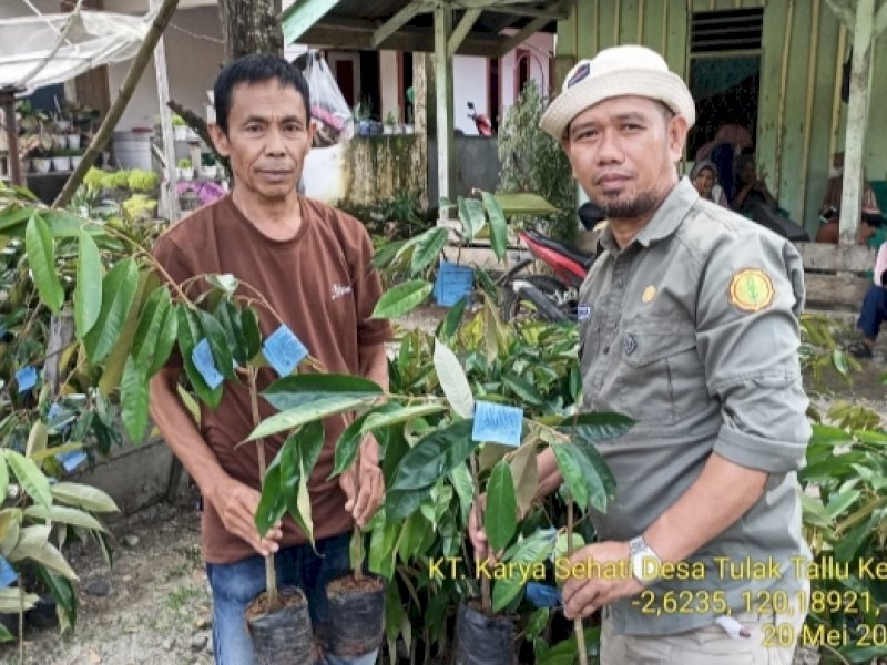 Kementan Bangun Kampung Hortikultura di Luwu Utara, Ini Lokasinya