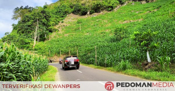 Dishub Diminta Pasang Rambu Jalan di Bypass Sumpallabbu Bone, Rawan ...