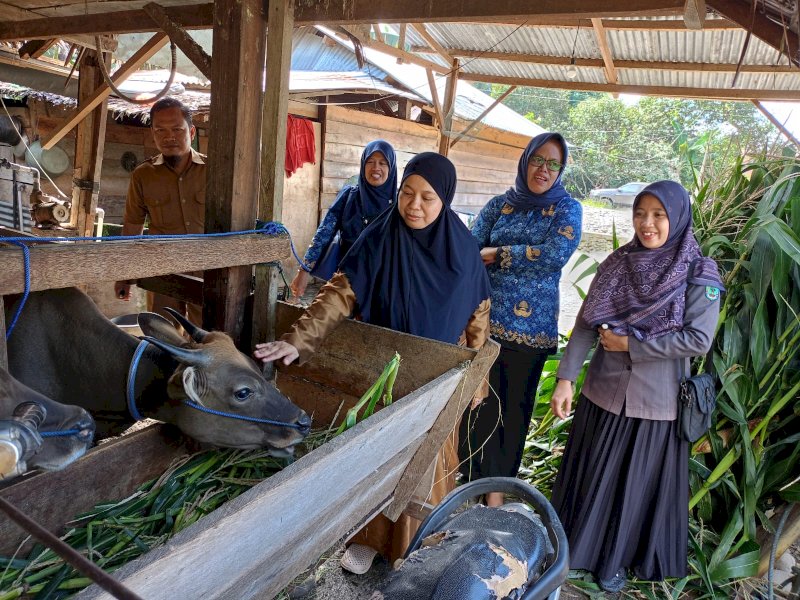 Dinas Pertanian melakukan kegiatan pendataan, sekaligus pemeriksaan kesehatan hewan ternak di kandang penampungan.