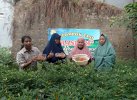 Lahan Tidur di Mariso Disulap jadi Kebun Cabai, Kini Dinikmati Warga Lorong