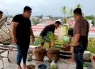 Polisi Gerebek Rumah Mewah di Gowa, Temukan 14 Pot Tanaman Ganja 