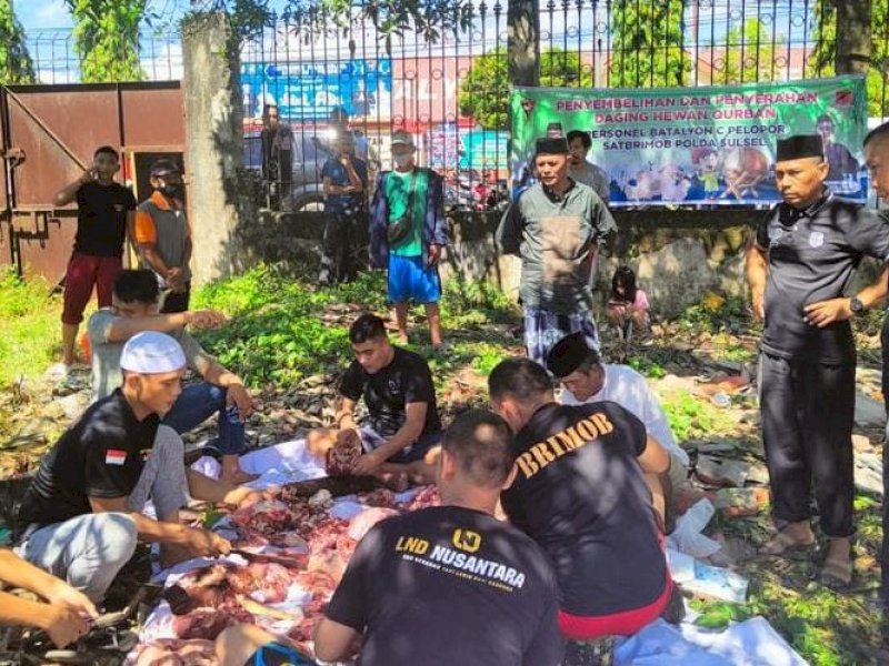 Prosesi penyembelihan sembilan ekor sapi kurban digelar seusai pelaksanaan Salat Id, di lahan kosong depan Mako Brimob Bone.